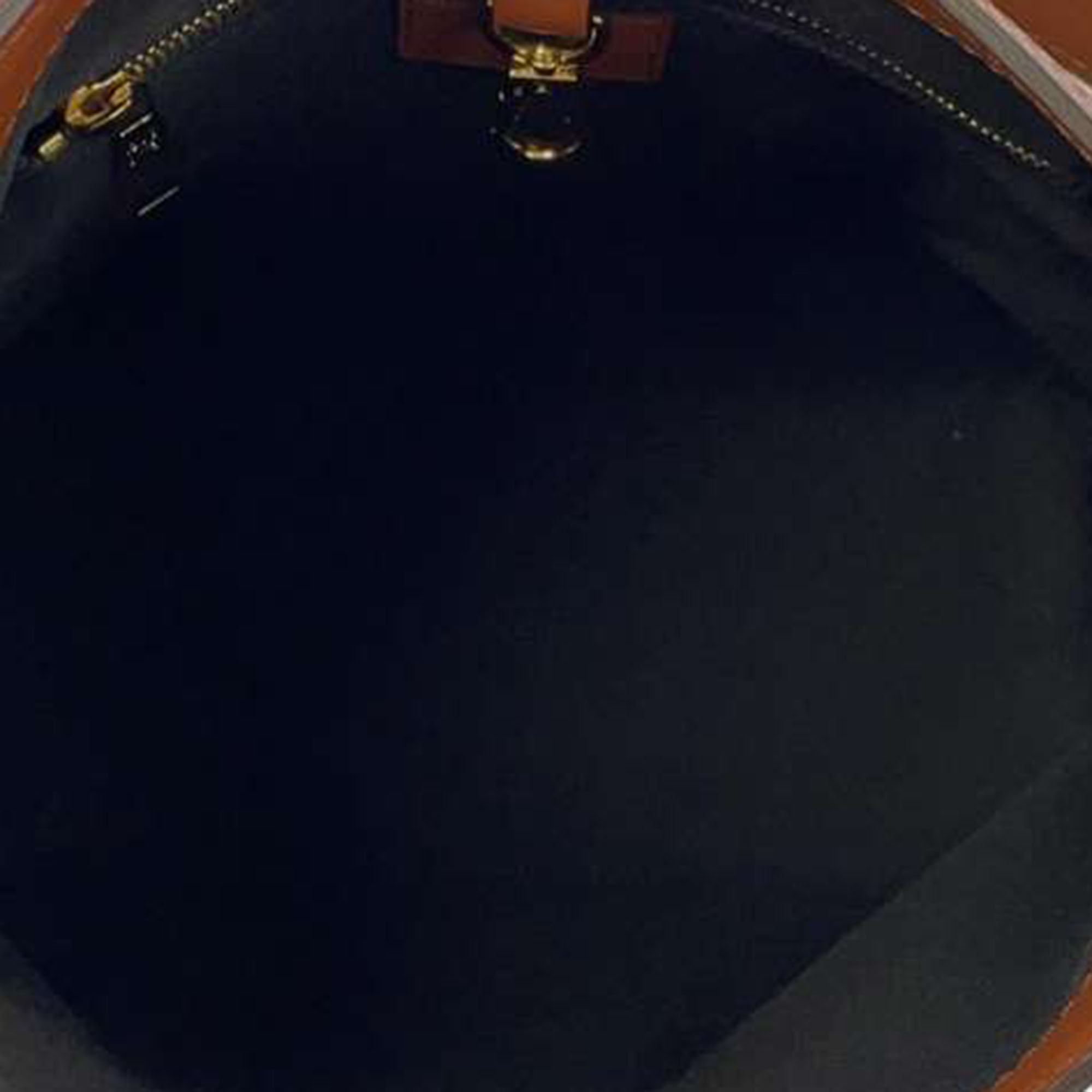 Louis Vuitton Brown Monogram Reverse Canvas Dauphine PM Hobo Bag