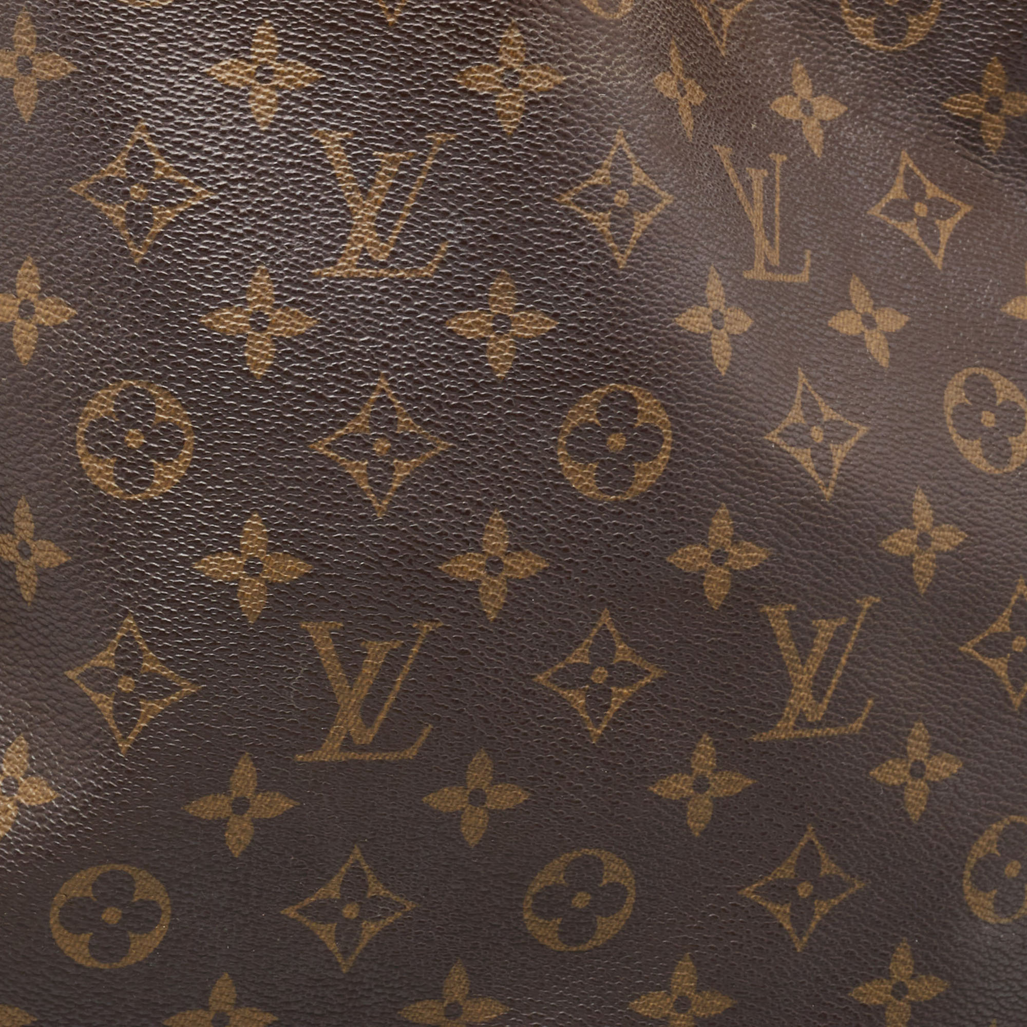 Louis Vuitton Monogram Canvas Artsy MM Bag