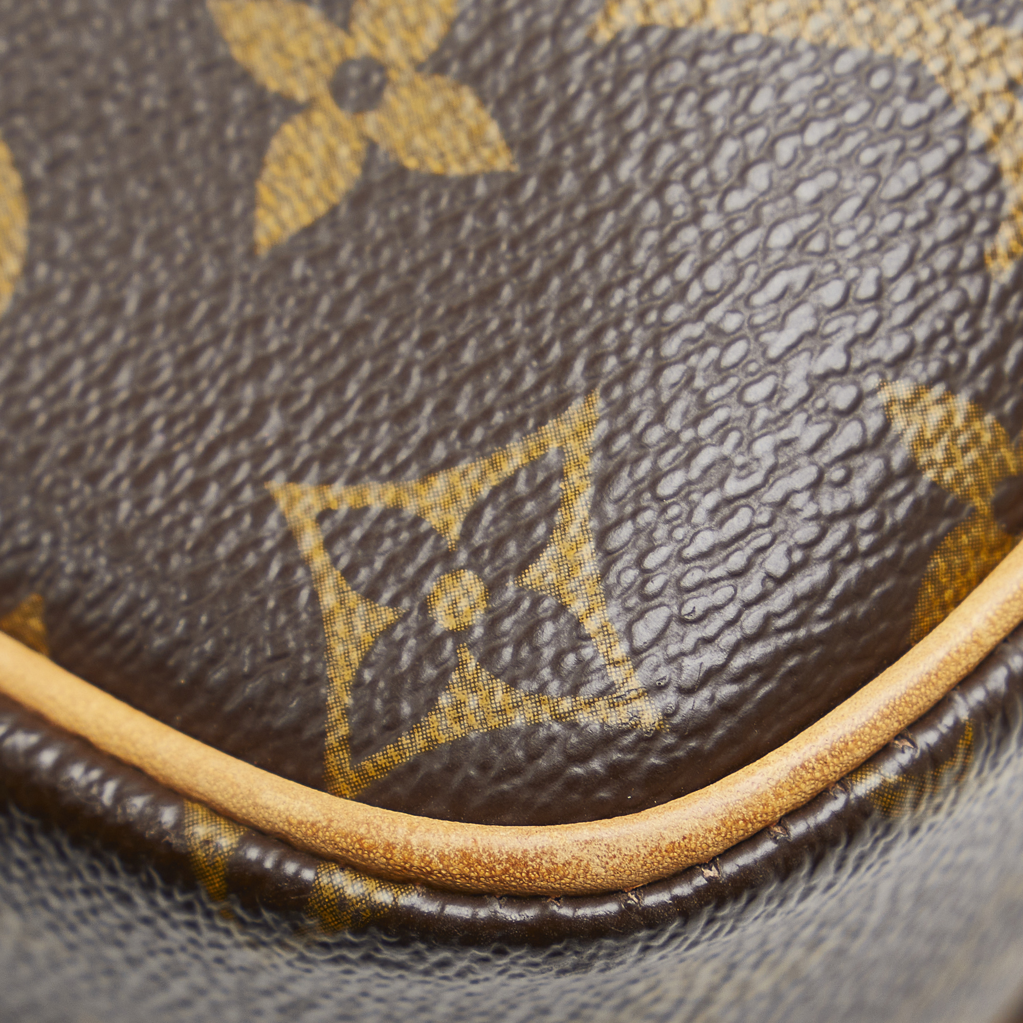 Louis Vuitton Canvas Leather Monogram Sologne