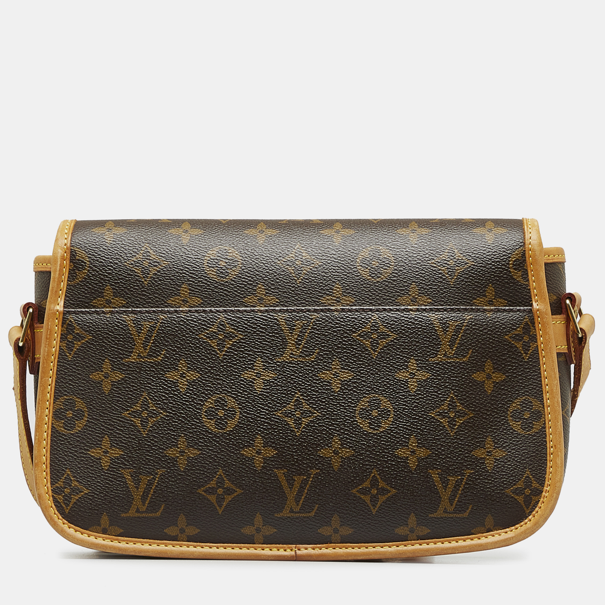 Louis Vuitton Canvas Leather Monogram Sologne