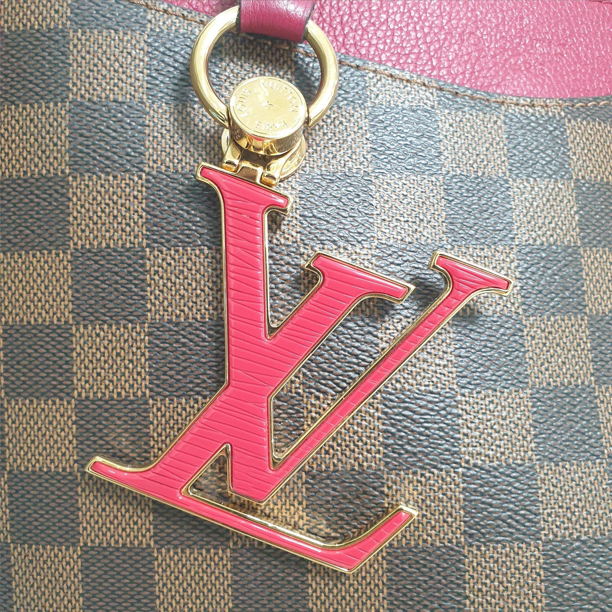 Louis Vuitton Damier Riverside Bag