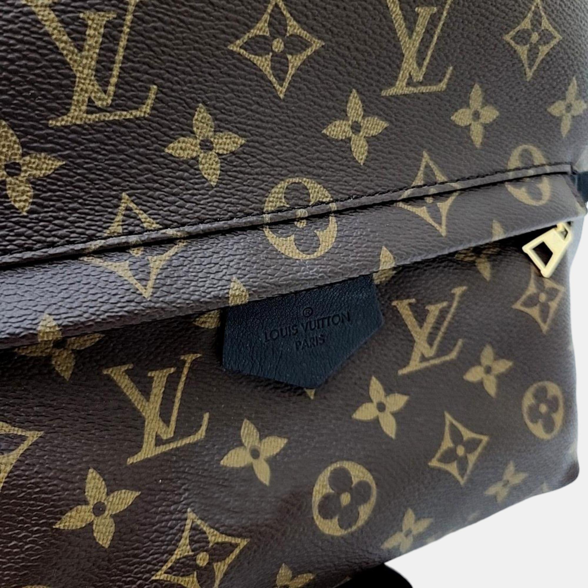 Louis Vuitton Palm Springs Backpack MM