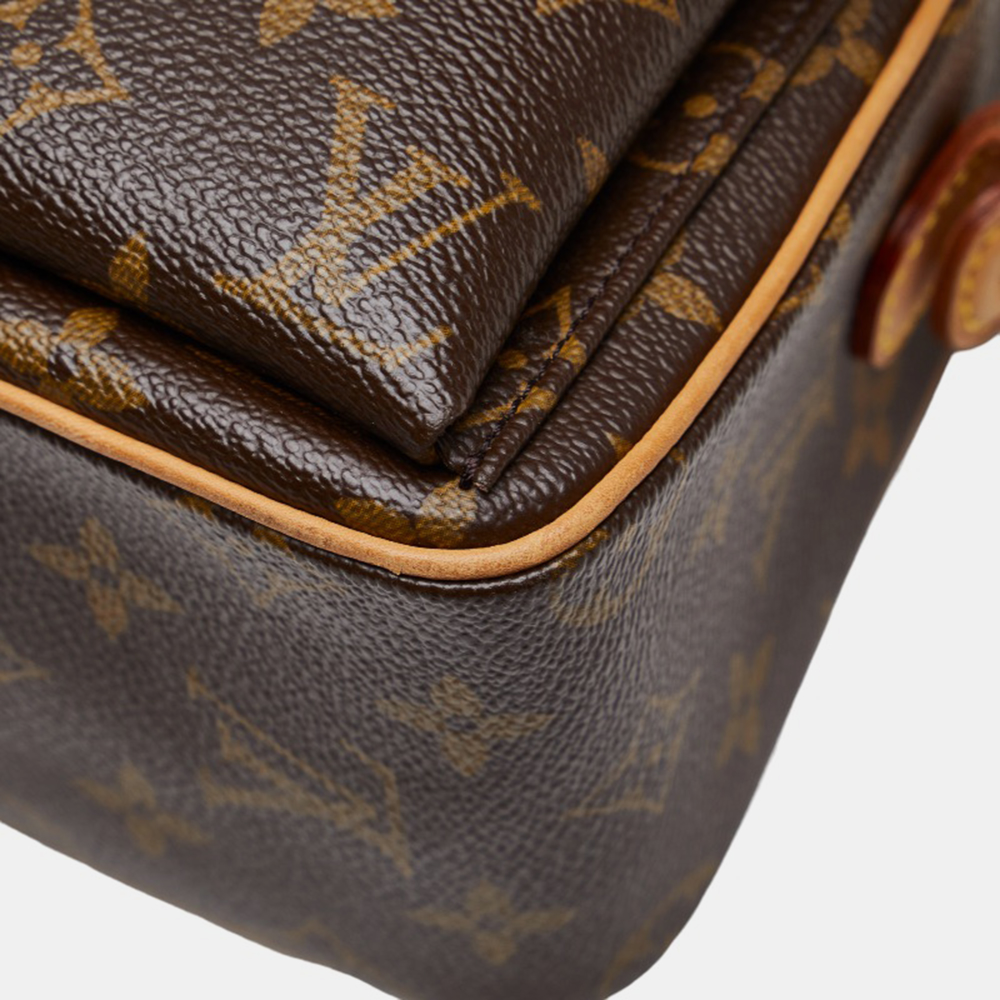 Louis Vuitton Brown Canvas Monogram Viva Cite MM