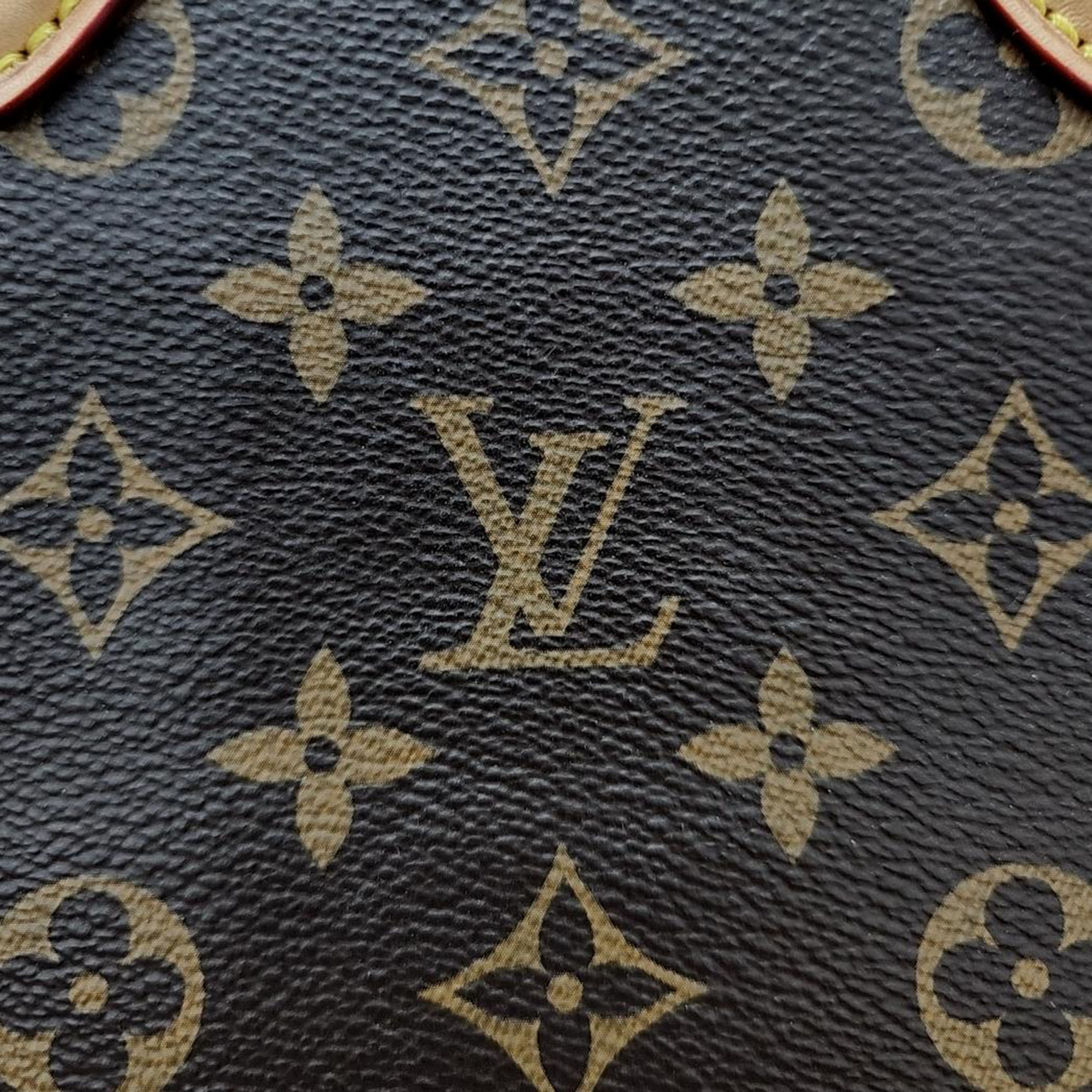 Louis Vuitton Monogram Saint Placide BB