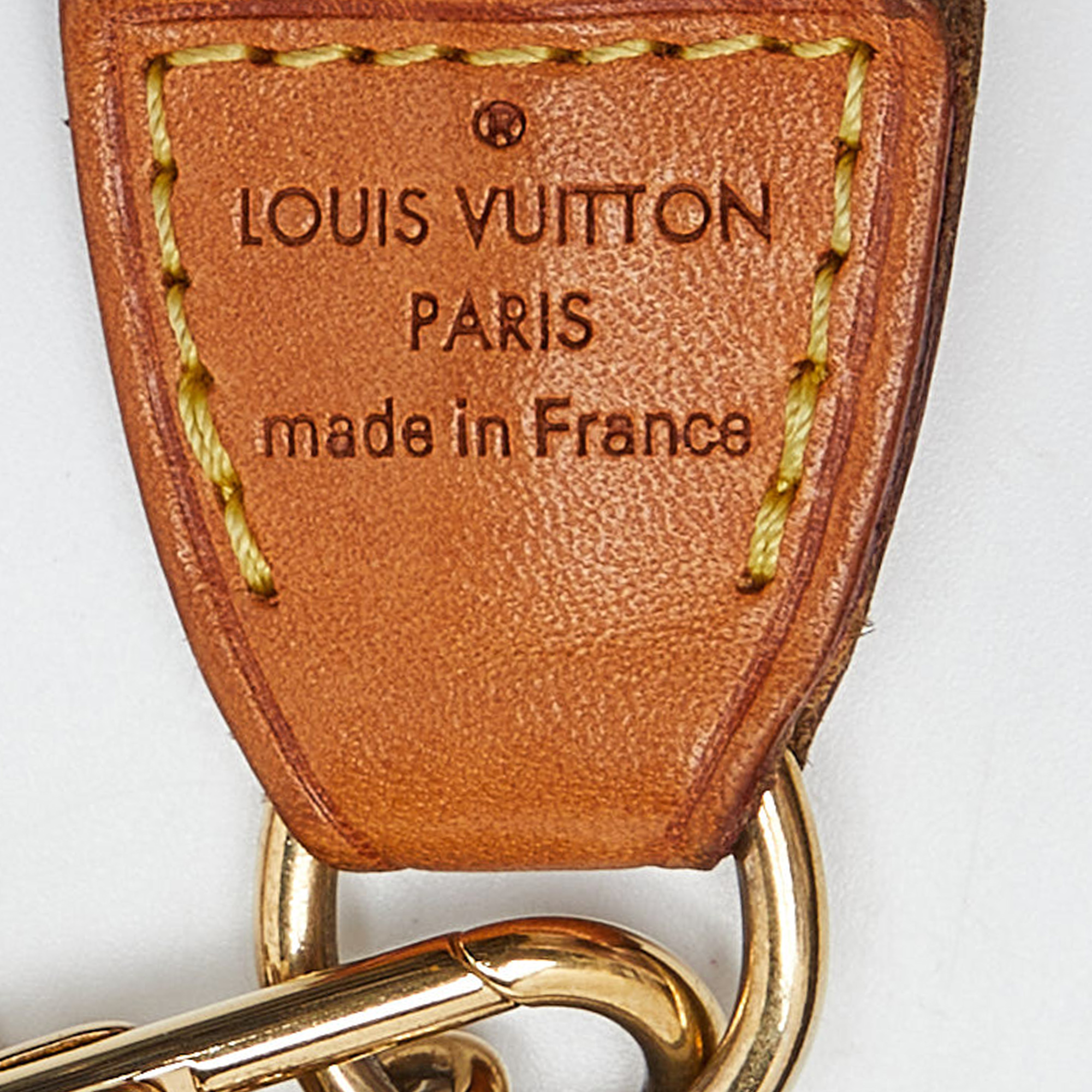 Louis Vuitton Monogram Canvas Eva Pochette Bag