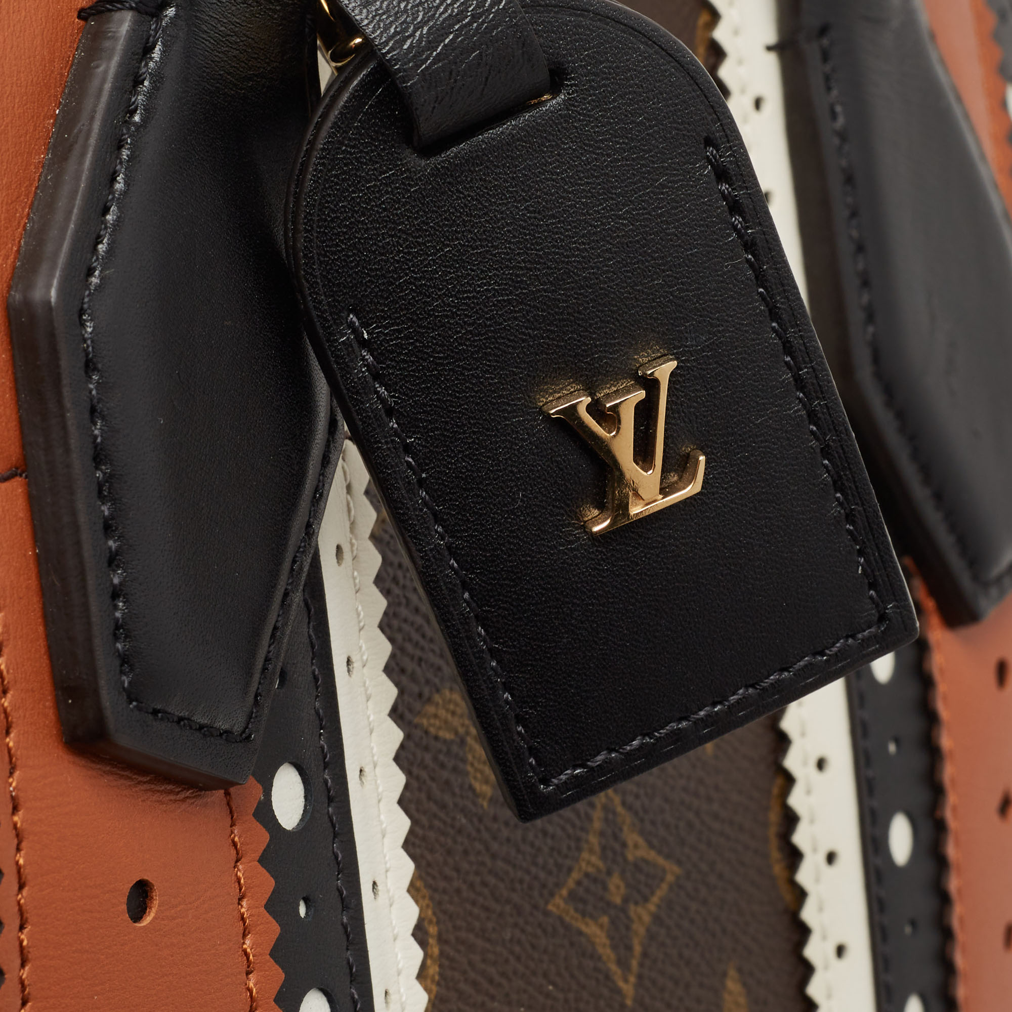 Louis Vuitton Multicolor/Monogram Canvas And Brogues Leather City Steamer MM Bag