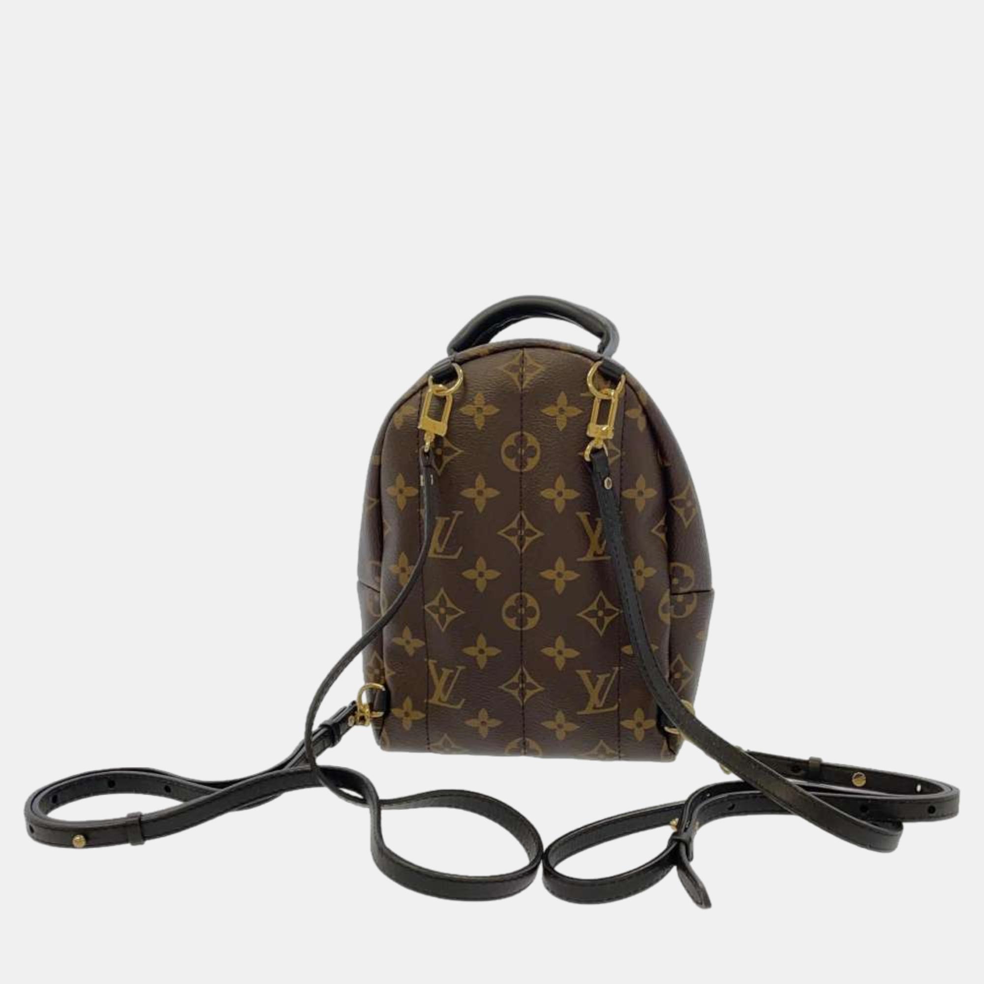 Louis Vuitton Brown Monogram Canvas Mini Palm Springs Backpack