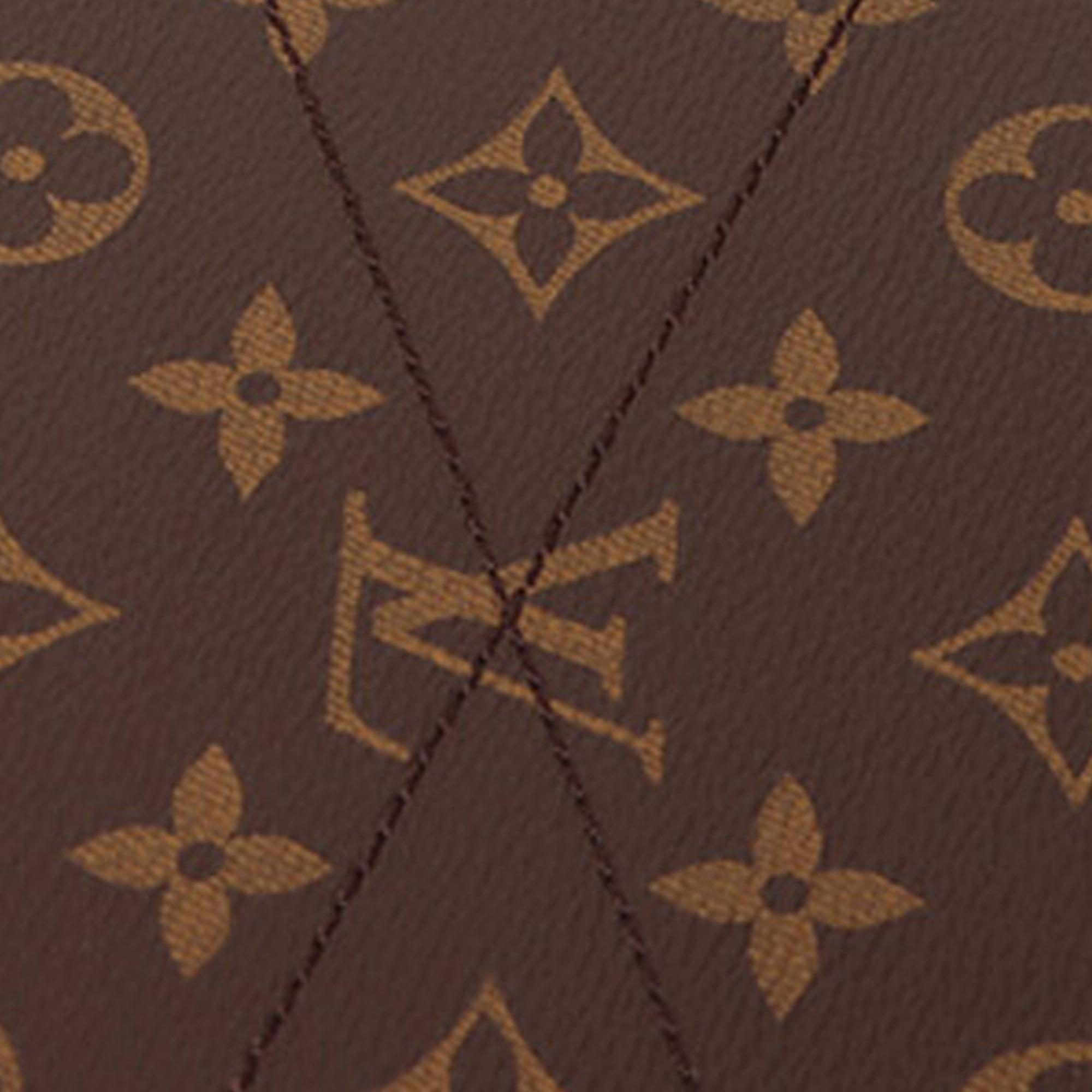 Louis Vuitton Brown Braided Handle Monogram Montaigne BB