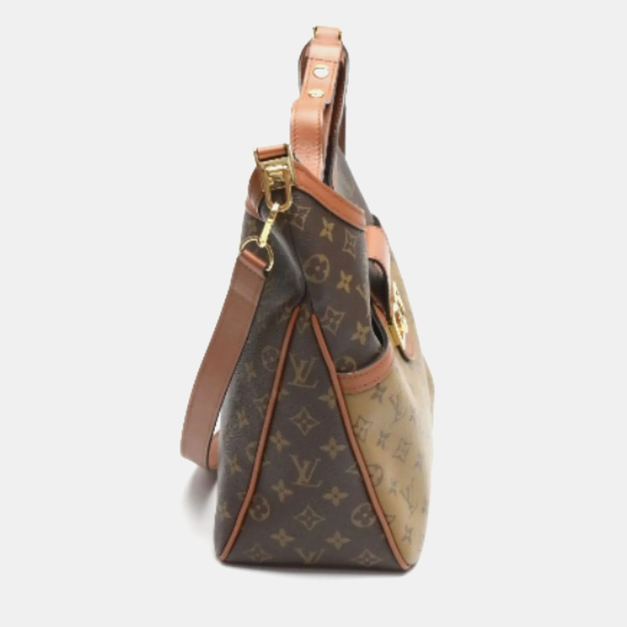 Louis Vuitton Monogram Reverse Hobo Dauphine MM Shoulder Bag