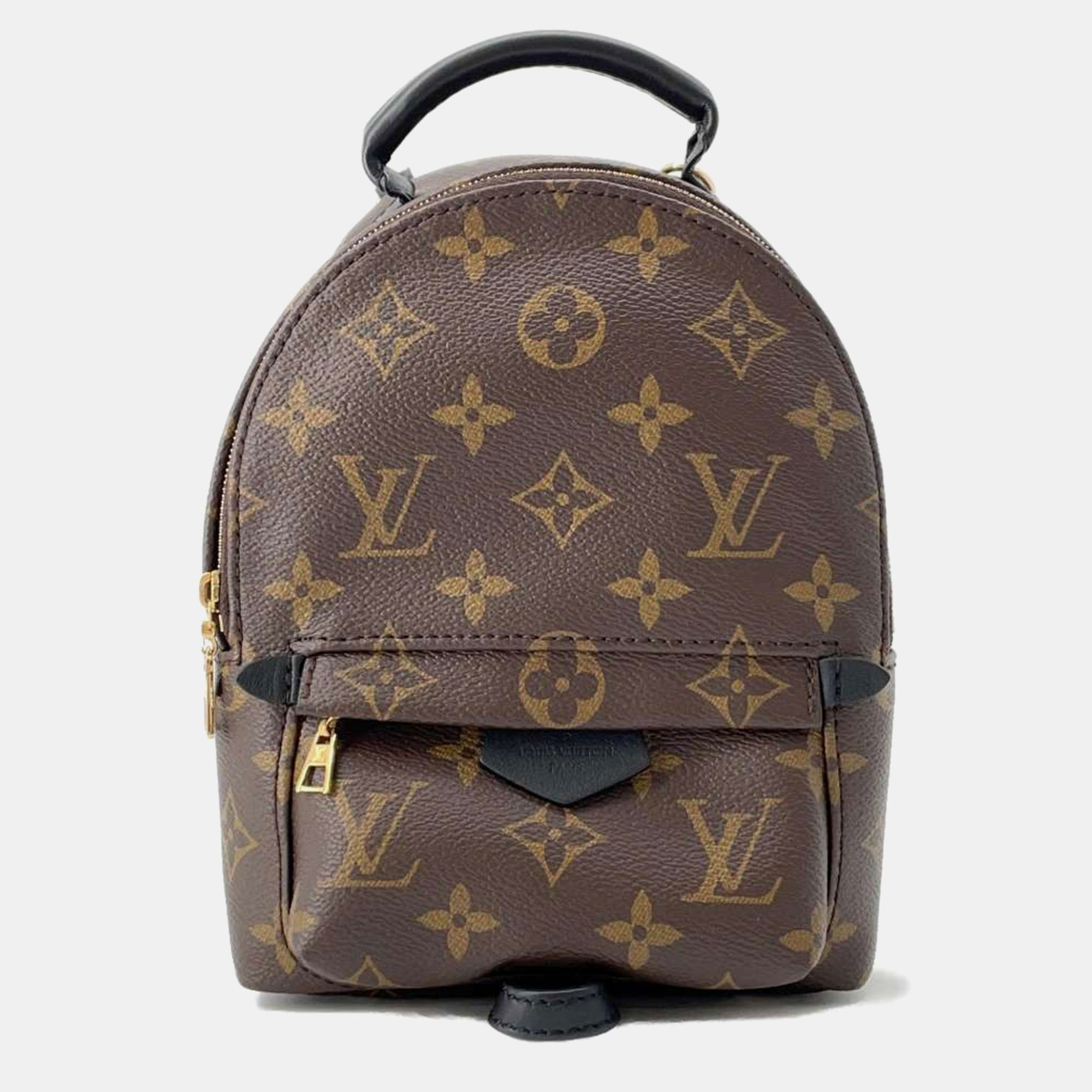 Louis vuitton monogram canvas palm springs mini backpack