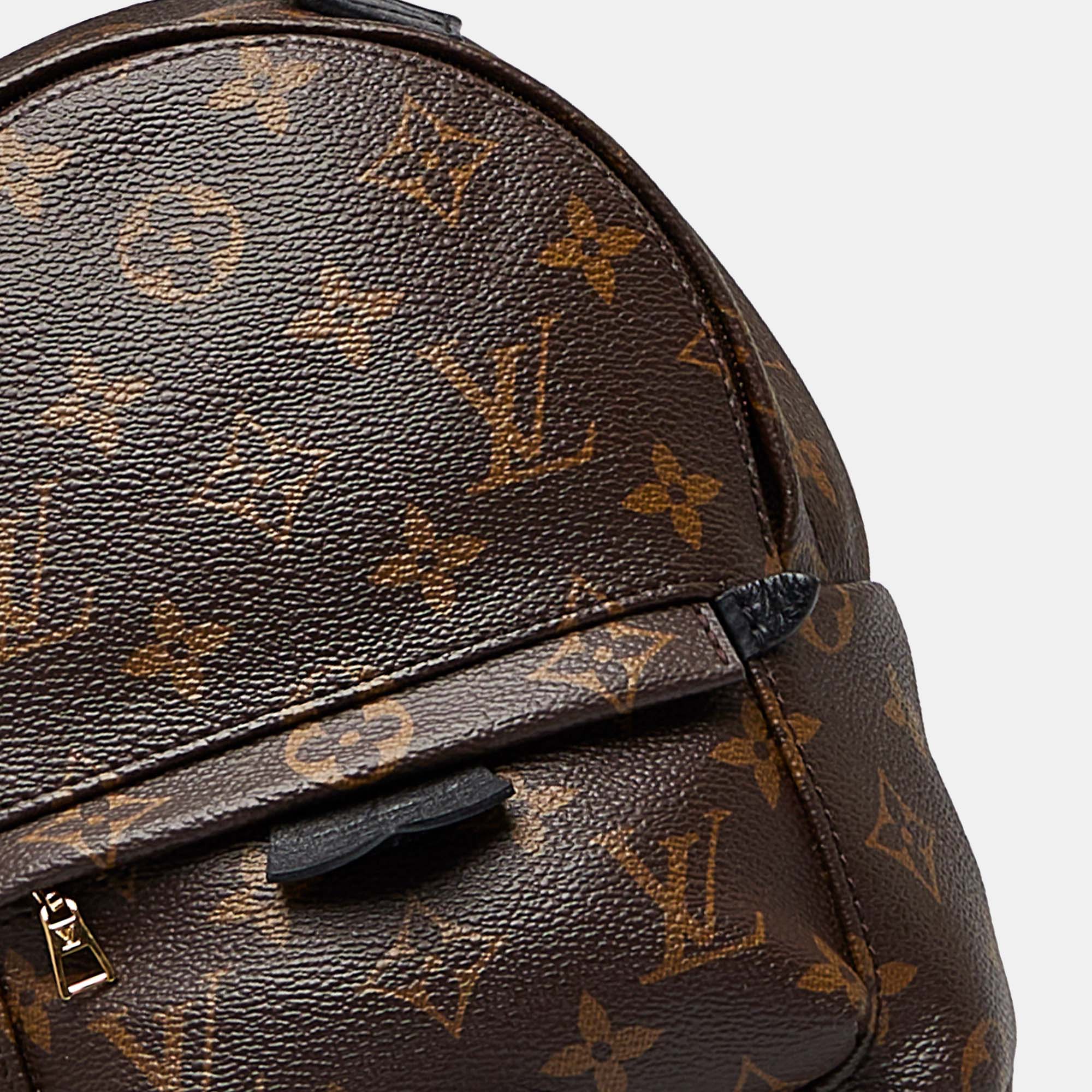 Louis Vuitton Monogram Palm Springs Mini Backpack
