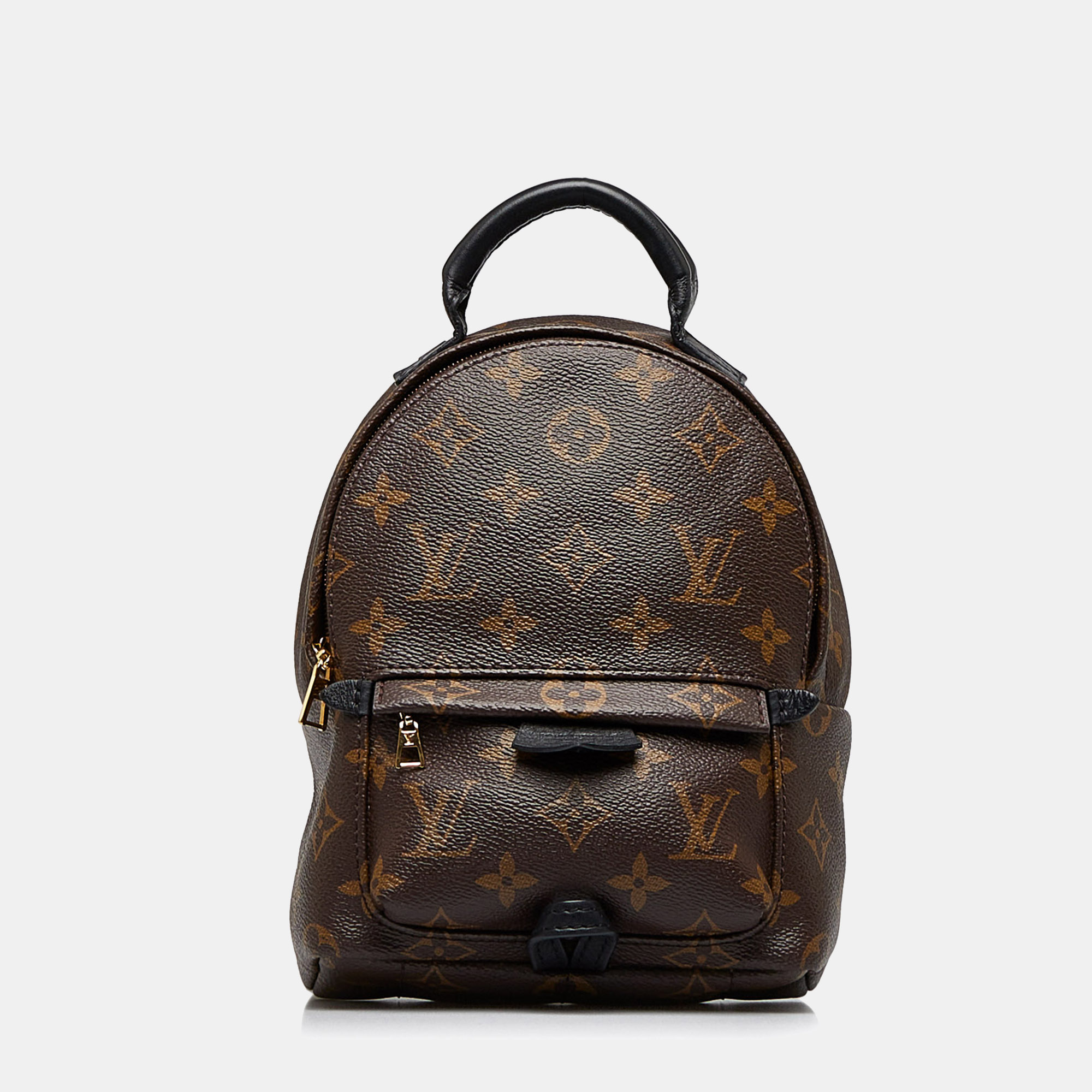Louis Vuitton Monogram Palm Springs Mini Backpack