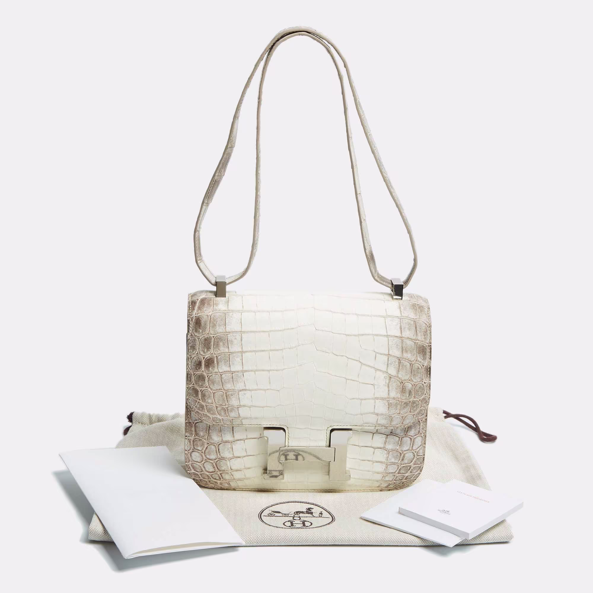 Hermès Blanc Crocodile Niloticus Himalaya Palladium Finish Constance III 24 Bag