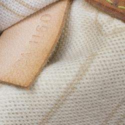 Pre Owned حقيبة يد لوي فيتون دامير أزور نيفرفول MM