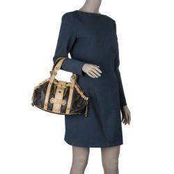 مملوكة مسبقًا حقيبة توت لوي فيتون كانفاس مونوجرامي ثيدا PM