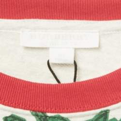 Pre Owned Burberry Kids Green/Grey Printed Cotton Sweatshirt 10 Yrs