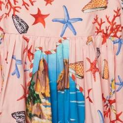 Pre Owned فستان بقطن مزخرف بطبعة كابري زهري دولتشي وغابانا كيدز 9/10 سنوات