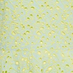 Pre Owned فستان كينزو أزرق/أصفر قطن بروادريه أنغلايز 12 سنة