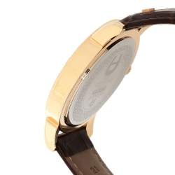 Aigner Silver Gold Plated Stainless Steel Leather Cortina A26000 Men's Wristwatch 42 mm