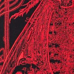 Pre Owned Alexander McQueen Black Cotton Moth Embroidered T-Shirt XXL