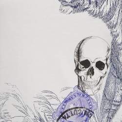 Pre Owned Alexander McQueen White Skull Print Jersey T-Shirt XS