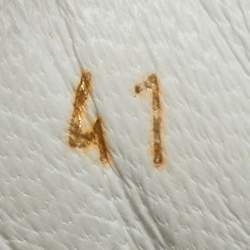 مملوكة مسبقًا حذاء رياضي ألكساندر ماكوين جلد أبيض / ذهبي كبير الحجم مقاس 35.5