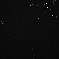 Pre Owned Amiri Black Distressed Cotton Crew Neck T Shirt M