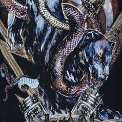 Pre Owned Balmain Black Panther Logo Print Cotton Zip Detail Sweatshirt S