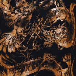 Pre Owned Balmain Black Dragon Printed Cotton Knit Distressed T-Shirt S