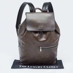 Berluti Dark Brown Leather Day Out Scritto Backpack