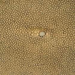 Pre Owned Bottega Veneta Yellow Stingray Bifold Wallet