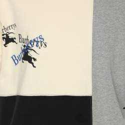 Burberry Multicolor Palak Colorblock Cotton Crew Neck T-Shirt L