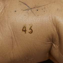 Pre Owned Christian Louboutin Multicolor Leather and Python Embossed Lou Pik Pik Orlato Sneakers Size 43