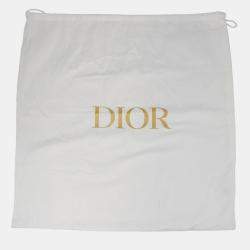 Pre Owned Dior Cobra Backpack Khaki/Beige Nylon Mesh