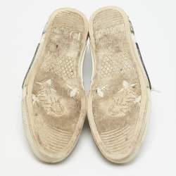 Dior Transparent/White Mesh and PVC  B23 Low Top Sneakers Size 43