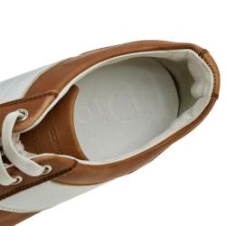Dior Homme Brown/White Leather Lace Up Low Top Sneakers Size 41