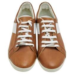 Dior Homme Brown/White Leather Lace Up Low Top Sneakers Size 41