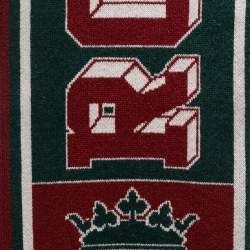 Pre Owned وشاح دولتشي آند غابانا كشمير بشعار زركشة بورجوندي وأخضر مع شراشيب