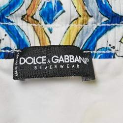 Dolce & Gabbana Multicolor Majolica Print Synthetic Swim Shorts M