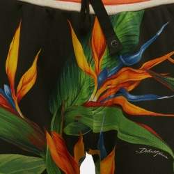 Pre Owned Dolce & Gabbana Black Tropical Print Cotton Knit Shorts M