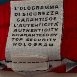 Pre Owned Dolce & Gabbana Blue/Red Coral Print Synthetic Swim Shorts M