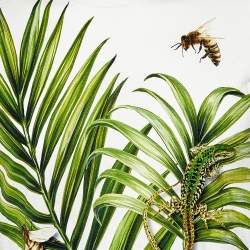 Pre Owned Dolce & Gabbana White Palermo Tropical Printed Cotton Crewneck T-Shirt M