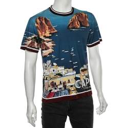مملوكة مسبقًا Dolce & Gabbana Multicolor Capri Printed Cotton Crewneck T-Shirt S