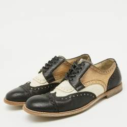 Dolce & Gabbana Multicolor Perforated Leather Lace Up Wingtip Brogue Derby Size 40