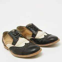 Dolce & Gabbana Multicolor Perforated Leather Lace Up Wingtip Brogue Derby Size 40