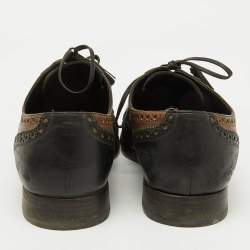 Dolce & Gabbana Black/Brown Brogue Leather Lace Up Derby Size 41.5