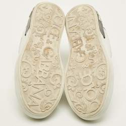 مملوكة مسبقًا حذاء رياضي دولتشي أند غابانا منخفض من الأعلى بورتوفينو جلد أبيض مقاس 40