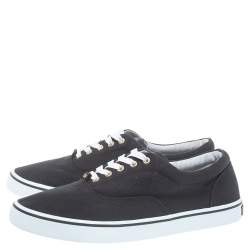 Pre Owned Dolce & Gabbana Black Canvas Low Top Sneakers Size 44