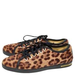 Pre Owned Dolce & Gabbana Brown Leopard Print Calf Hair Low Top Sneakers Size 41