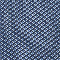 Pre Owned Ermenegildo Zegna Blue Printed Silk Tie 